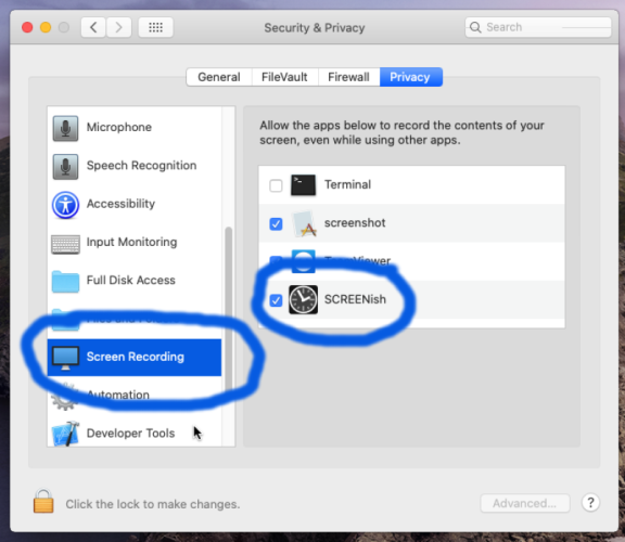 Screen Recording settings