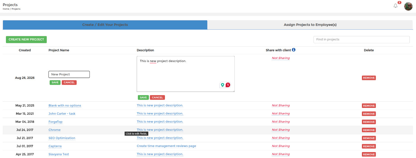 Adding a project description in SCREENish time tracker