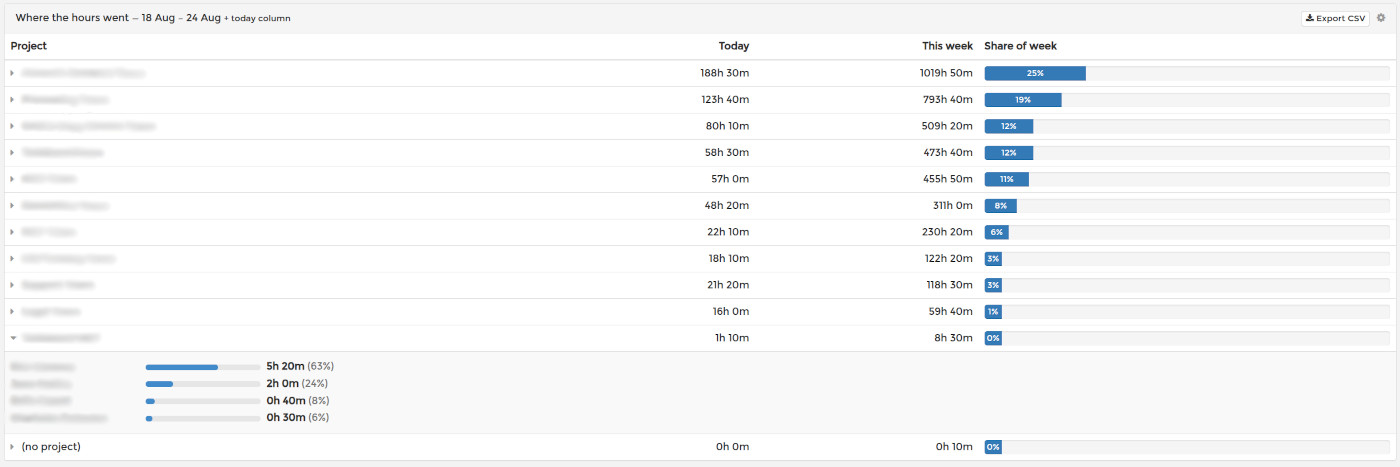 Time tracked by project with per-employee breakdown in the SCREENish Team Overview