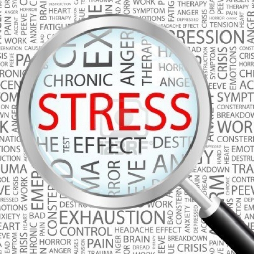 Stress management at work